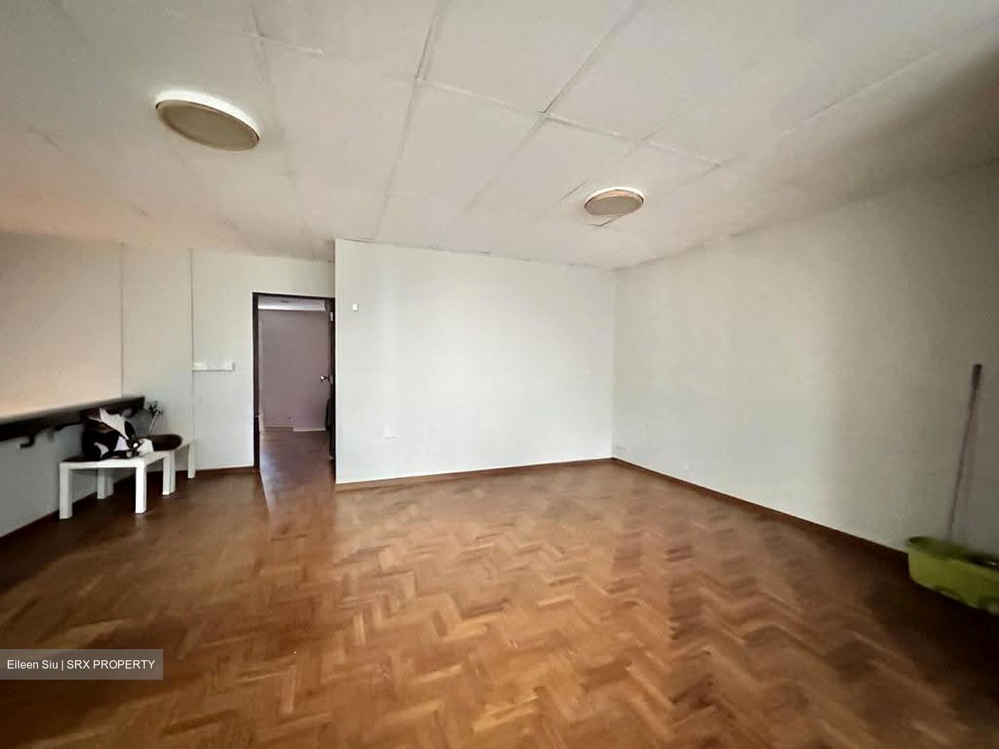 Adelphi Park Estate (D20), Shop House #636155421